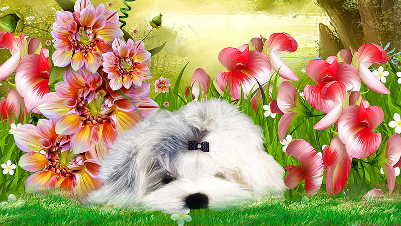 Resting in Blossoms, lhasa apso, grass, fluffy, garden, flowers, nature, dog, puppy, HD wallpaper
