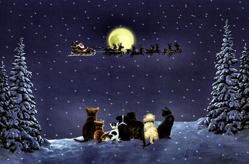 Christmas Night F5Cmp, Christmas, art, holiday, December, cat, pets, illustration, artwork, canine, feline, painting, wide screen, occasion, dog, HD wallpaper