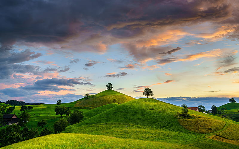 Swiss nature green hills, sunset, summer, Canton of Zug, Switzerland, Europe, beautiful nature, HD wallpaper