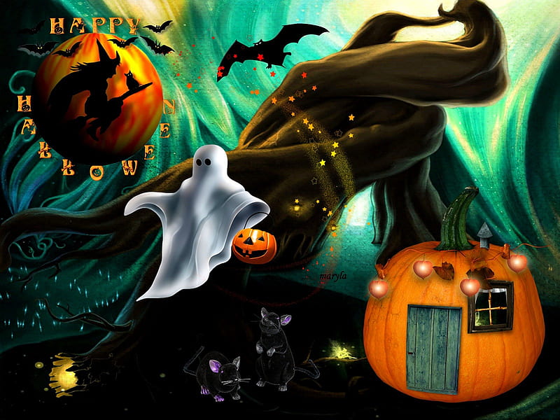 Halloween, fear, witch, holiday, witches, magic, cat, spider, spider ...