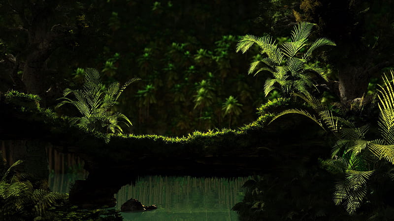 Green Trees Plants Covered Jungle Jungle, HD wallpaper