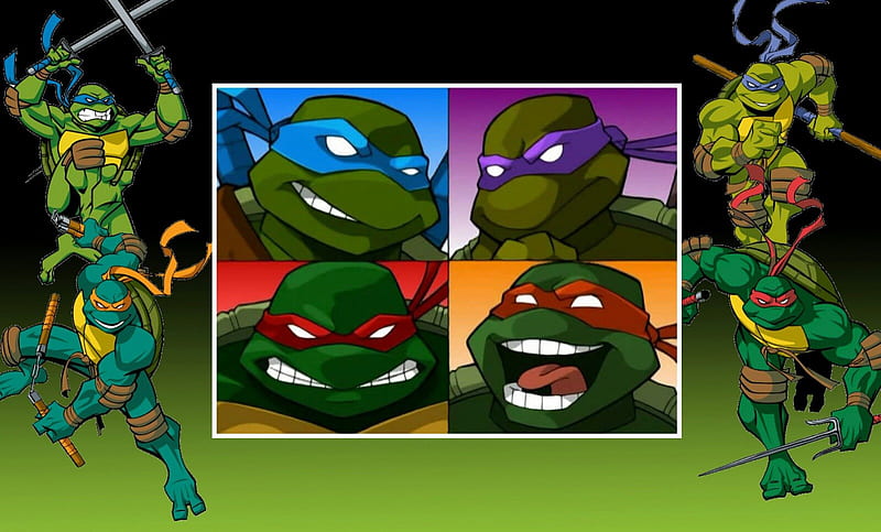 TMNT 2003, TV Series, Donatello, Leonardo, Michelangelo, Comic Books, Cartoons, Raphael, Teenage Mutant Ninja Turtles, HD wallpaper