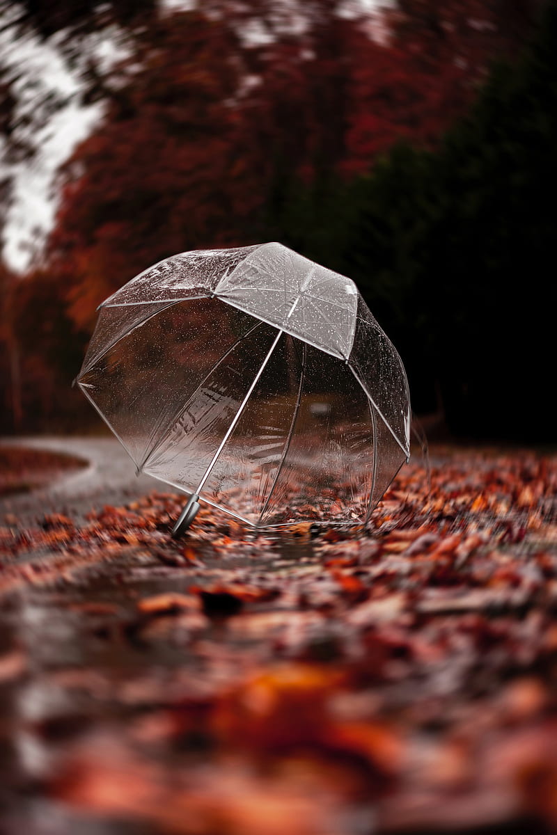 60+ Umbrella HD Wallpapers and Backgrounds