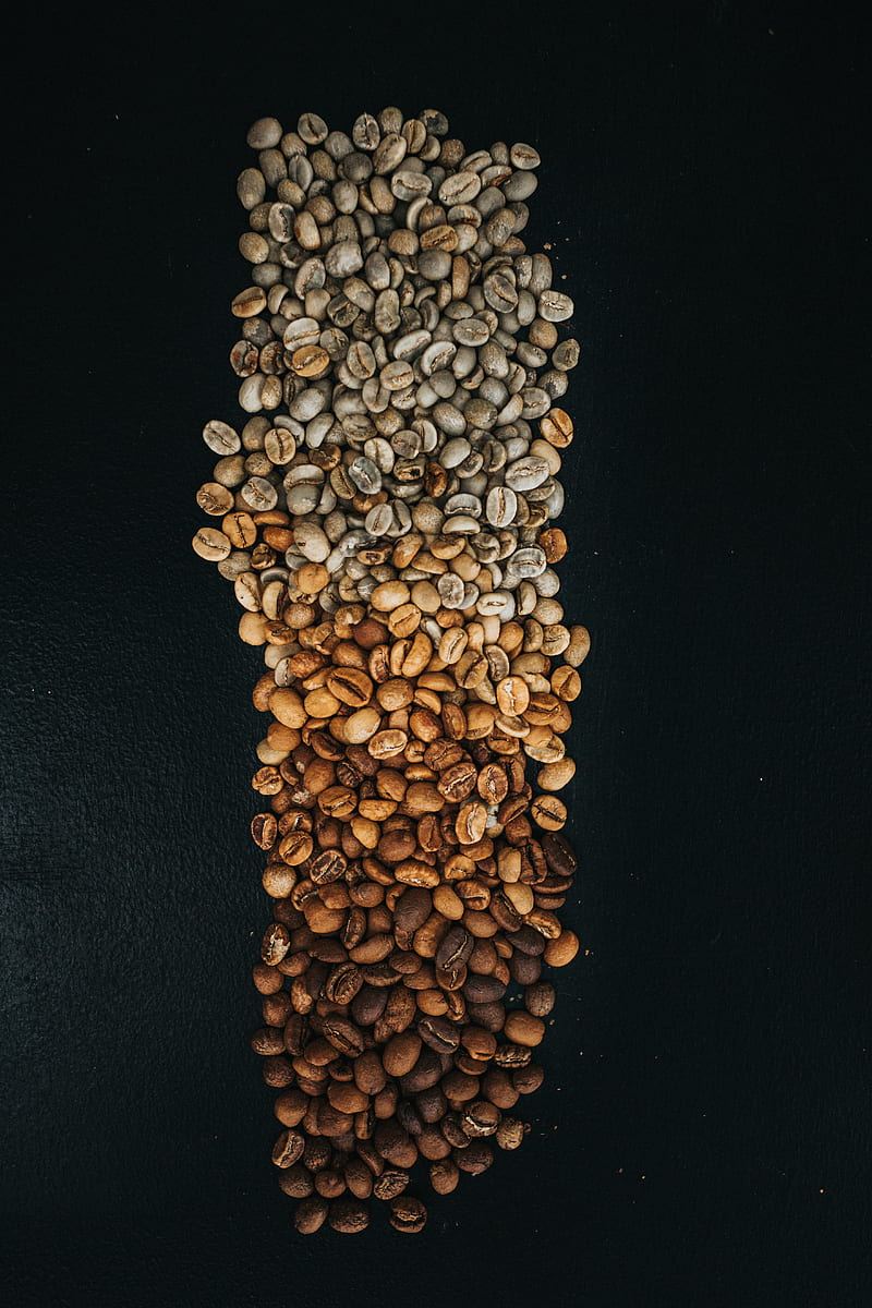 coffee beans, beans, coffee, gradient, brown, HD phone wallpaper