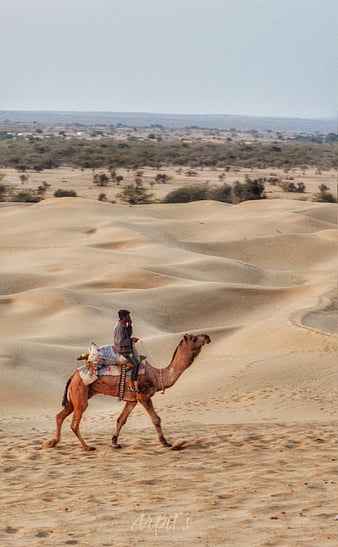 Gadisar Lake, Jaisalmer - Treks and Travels