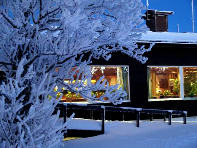 Hikers Bay, Winter, Trees, Sky, Lights, Snow, House, HD wallpaper