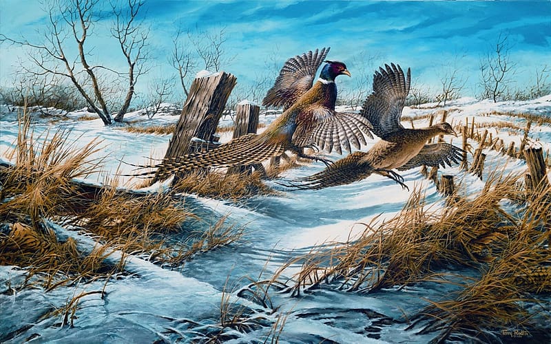Clearing the Rail, snow, pheasants, winter, artwork, painting, landscape, HD wallpaper