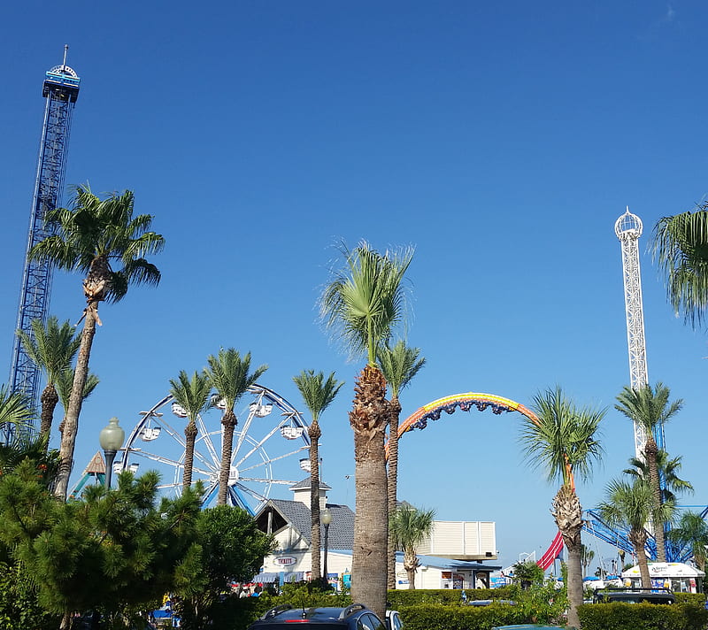 Theme Park, blue sky, ferris wheel, roller coaster, HD wallpaper