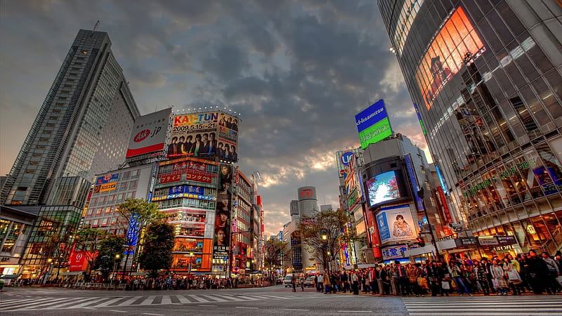Tokyo, street, cityscapes, R, Asia, japan, HD wallpaper