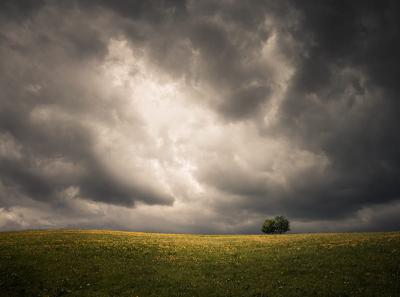 Spring, Field, Two Tree, Storm Clouds, Dark Sky Ultra, Seasons, Spring, Nature, bonito, Landscape, Scenery, Flowers, Dramatic, Field, Tree, Cloudy, Storm, Germany, Clouds, Europe, Scenic, Hills, Weather, Meadow, Alone, Skyline, solingen, darksky, HD wallpaper