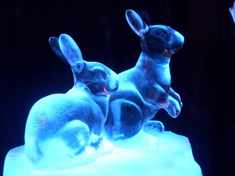 Blue Bunnies, Ice, Sculpture, Nature, Winter, HD wallpaper