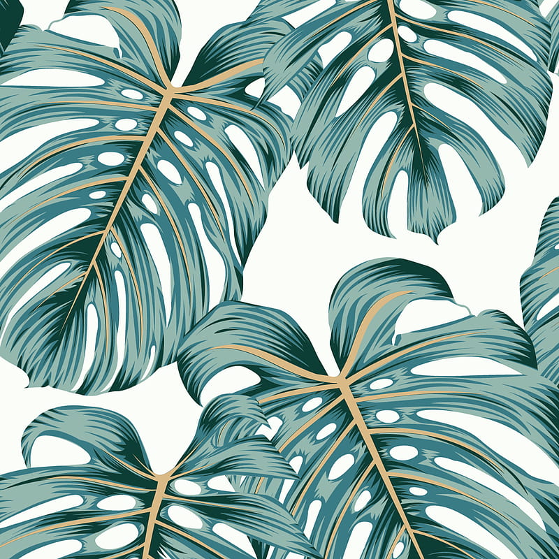 Monstera Botanicals Peel And Stick Removable . Love vs. Design, Monstera Leaves, HD phone wallpaper