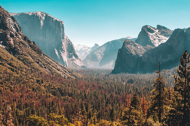 Forest Mountain Yosemite Valley , mountains, forest, nature, HD wallpaper