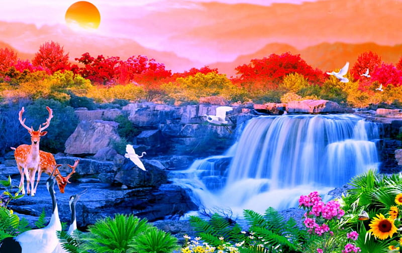 Beautiful place, colorful, birds, tree, falls, HD wallpaper