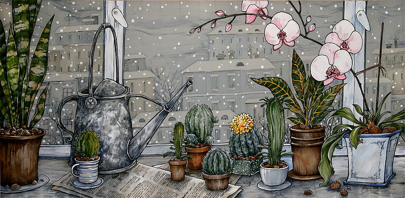 winter in the city, window, snow, plants, flower, cactus, HD wallpaper