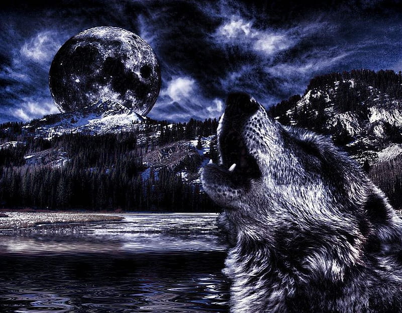 Wolve's howl, moon, wolf, darness, clouds, sky, HD wallpaper