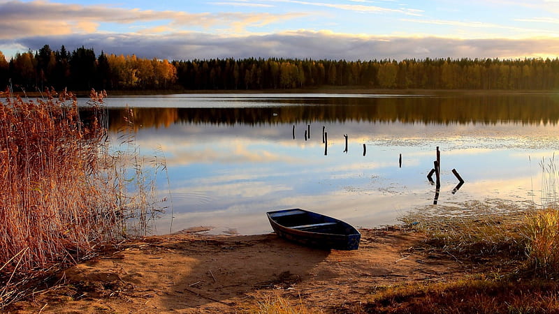 old rowboat on a lake shore, shore, boat, trees, pylons, lake, HD wallpaper