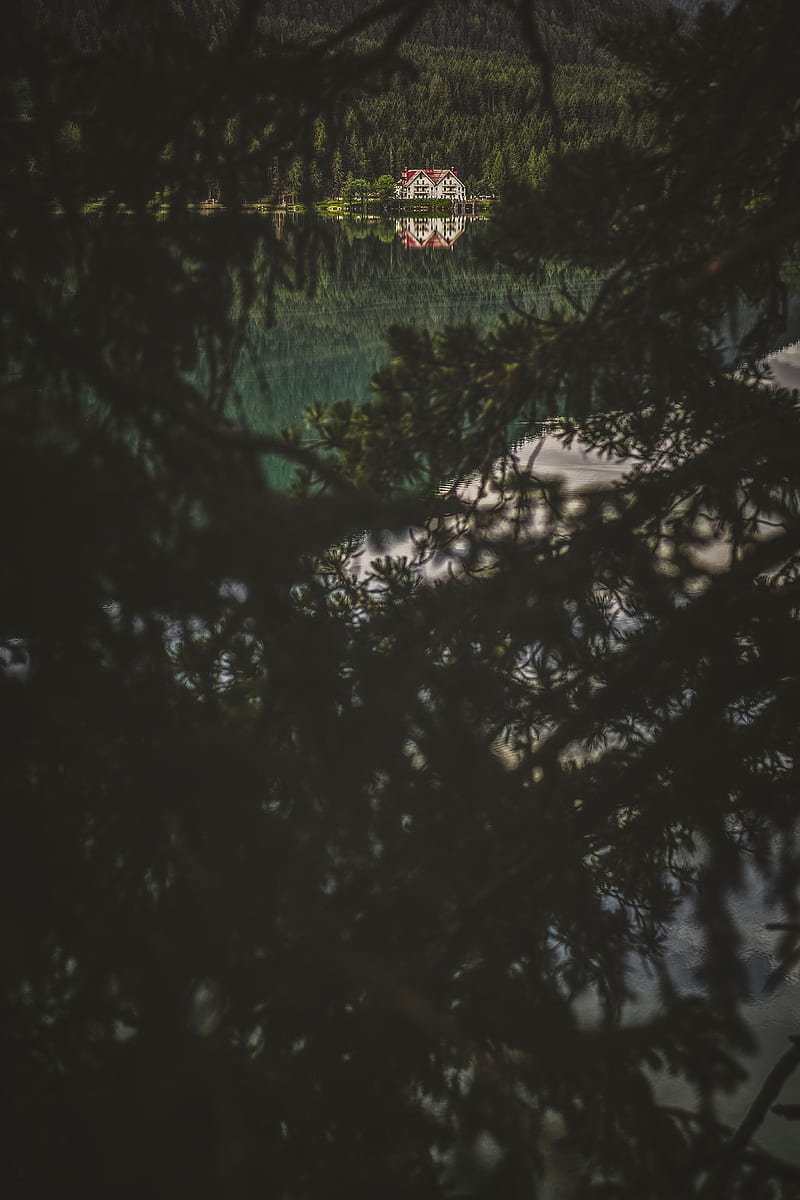lake, forest, house, branches, dark, HD phone wallpaper