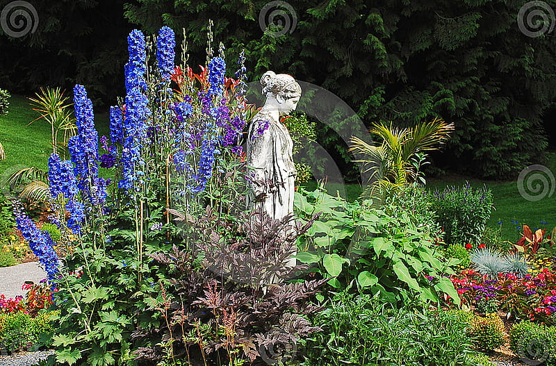 Blue delphinium garden, garden, statue, delphinium, blue, HD wallpaper