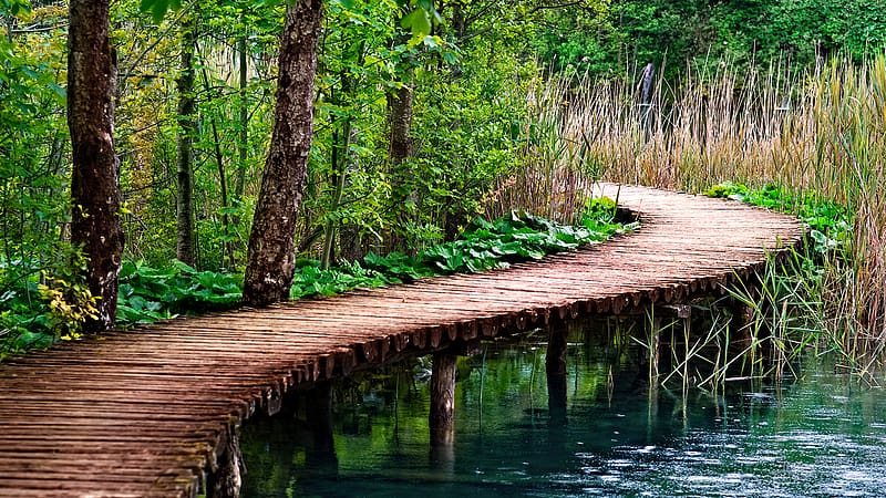 Bridge, Boardwalk, HD wallpaper | Peakpx