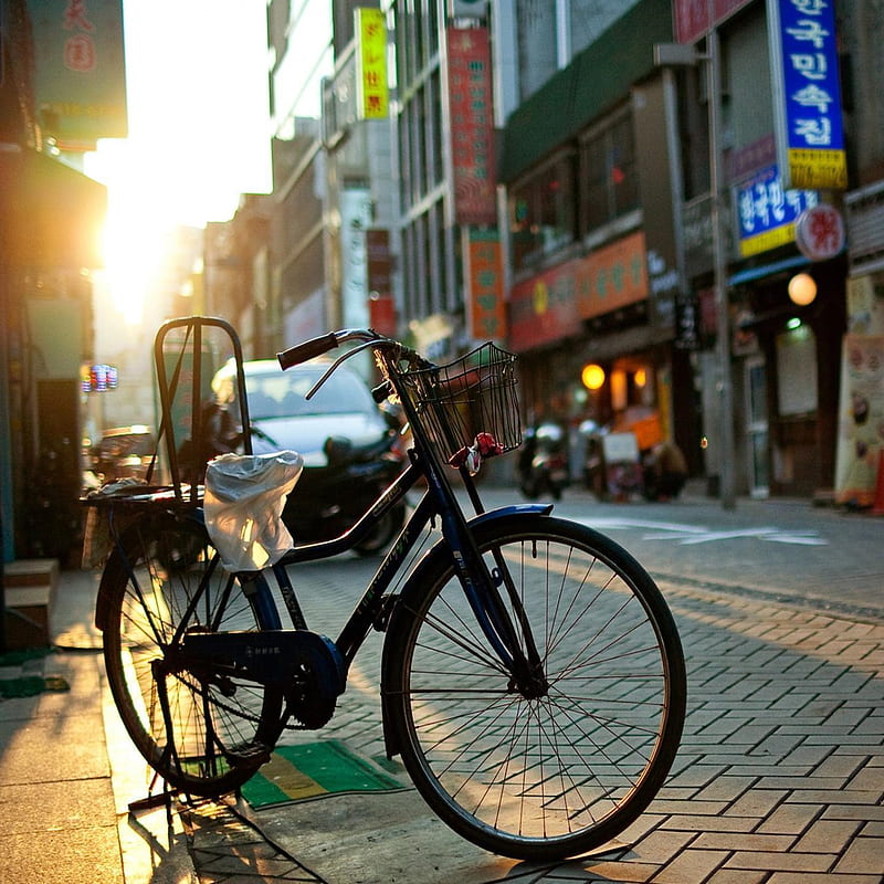Bicycle City, sun, HD phone wallpaper
