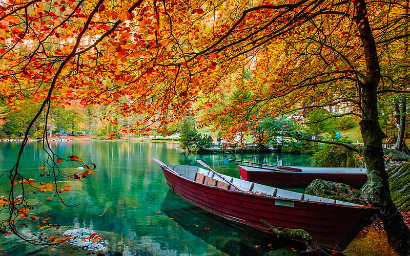 Turquoise lake in autumn, fall, autumn, bonito, emerald, park, trees, lake, foliage, pond, turquoise, tranquil, boats, serenity, branches, HD wallpaper