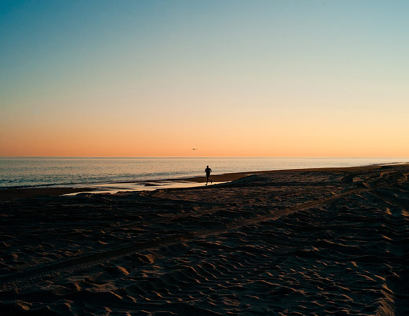 silhouette, sea, coast, sunset, sand, HD wallpaper