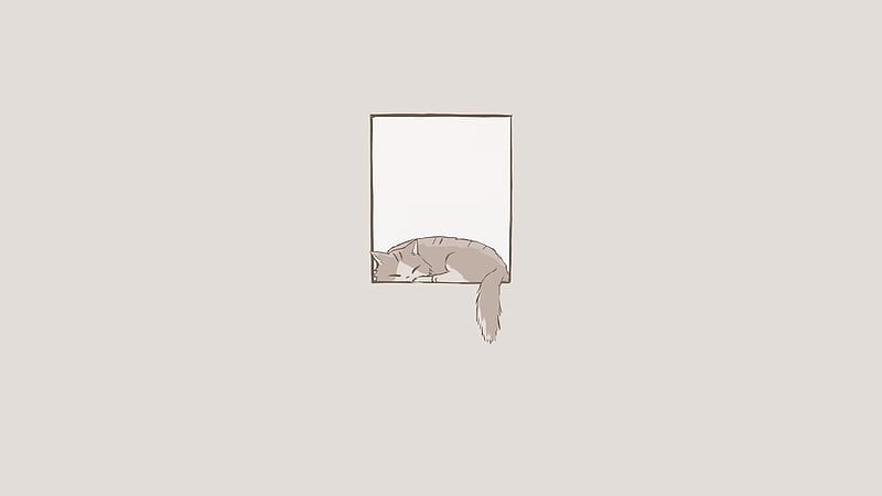 HD minimalist cat wallpapers | Peakpx