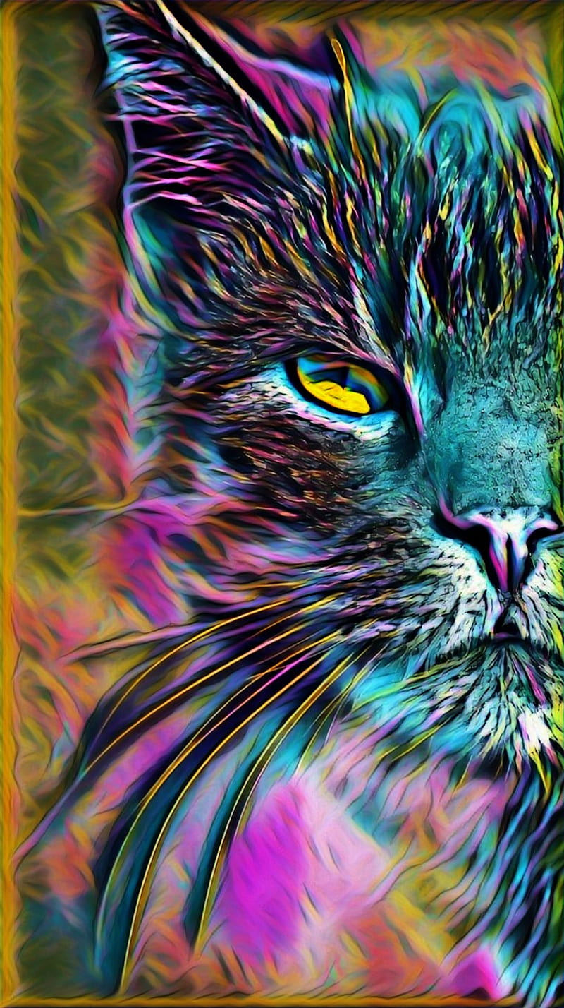 Rainbow cat, cats, HD phone wallpaper