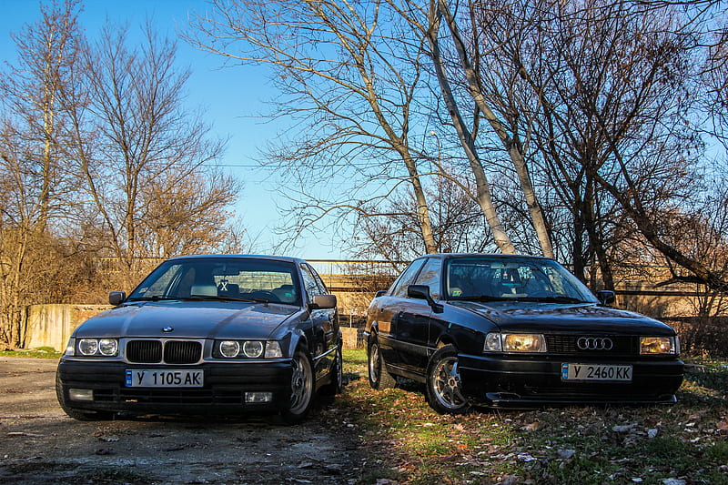 Audi and BMW friendship, 80, 316i, bmw, b3, compact, audi, yambol, bulgaria, sport edition, HD wallpaper