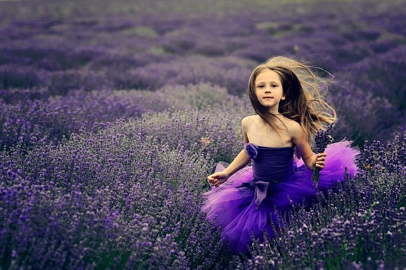 Purple Dreams, bonito, sweet, cute, lavendar, graphy, girl, purple, flowers, nature, child, field, HD wallpaper