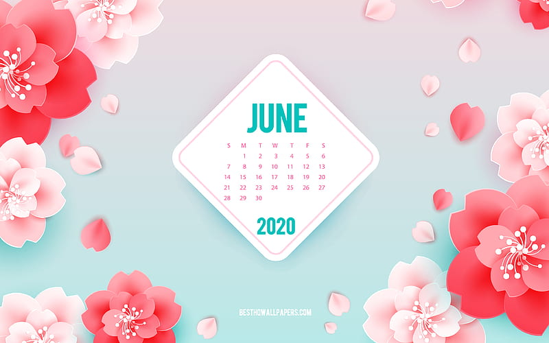 2020 June Calendar, pink flowers, spring art, June, 2020 summer calendars, summer background with flowers, June 2020 Calendar, paper flowers, HD wallpaper
