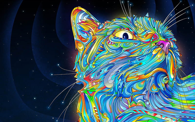 abstraction vector cat colorful paint-Abstract design, HD wallpaper