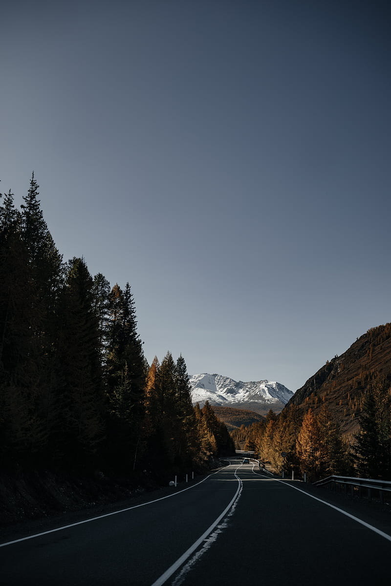 road, asphalt, mountains, trees, nature, HD phone wallpaper