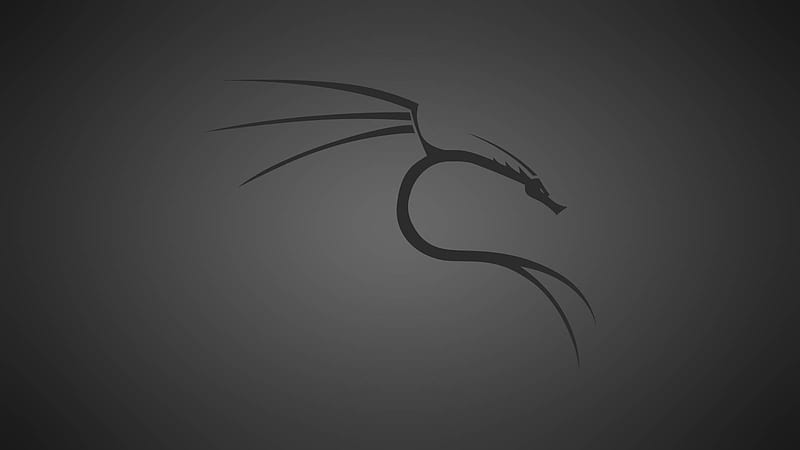 Kali Linux, Black and Gray Dragon, HD wallpaper