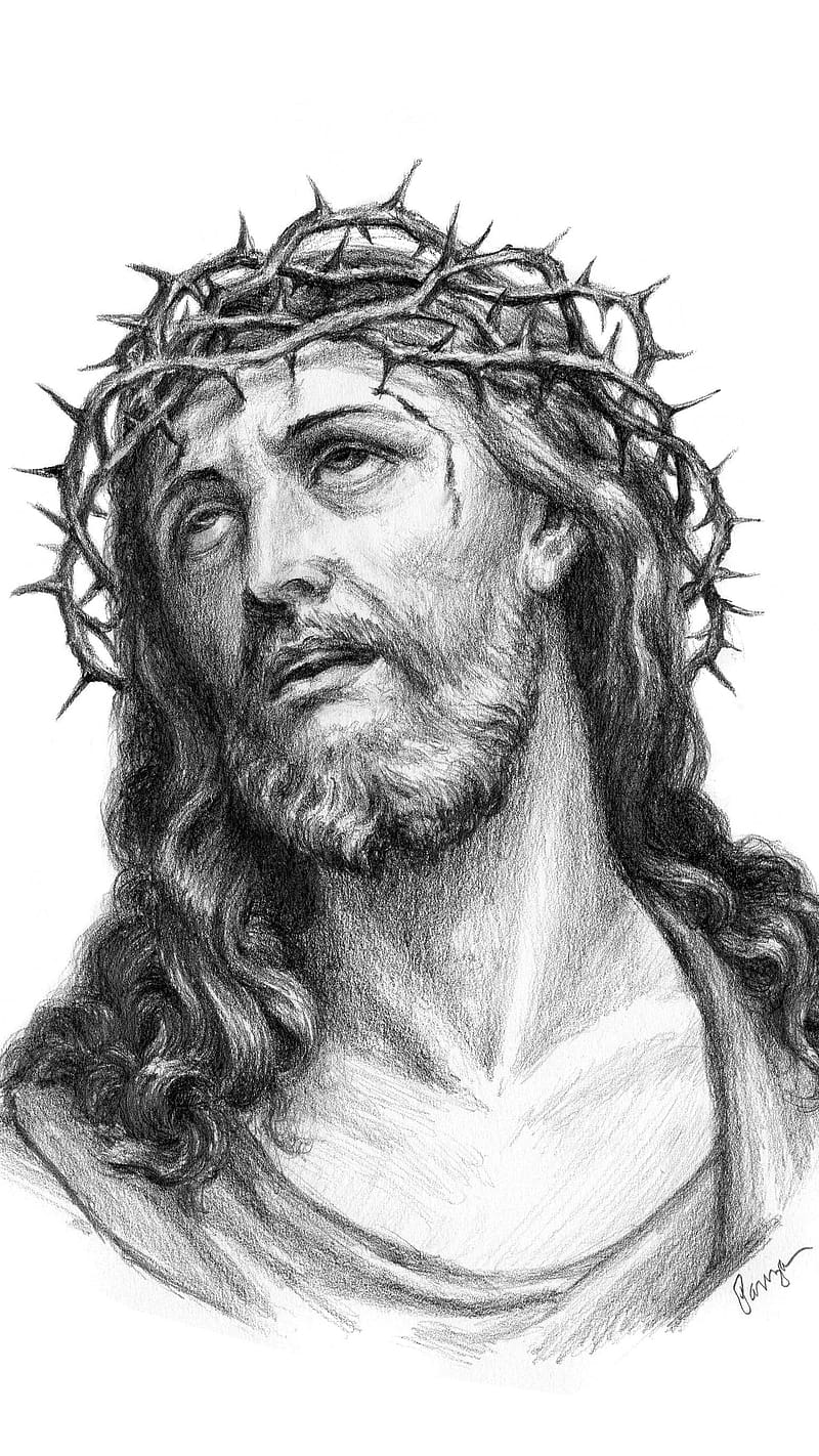 22036 Jesus Christ - Catholic Jesus Drawing Transparent PNG - 800x800 -  Free Download on NicePNG