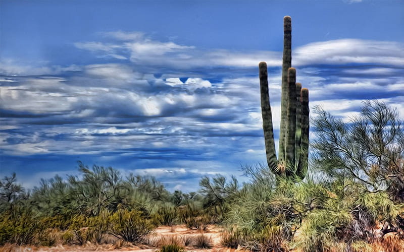 Surreal Cacti, cool, desert, nature, fun, sky, HD wallpaper