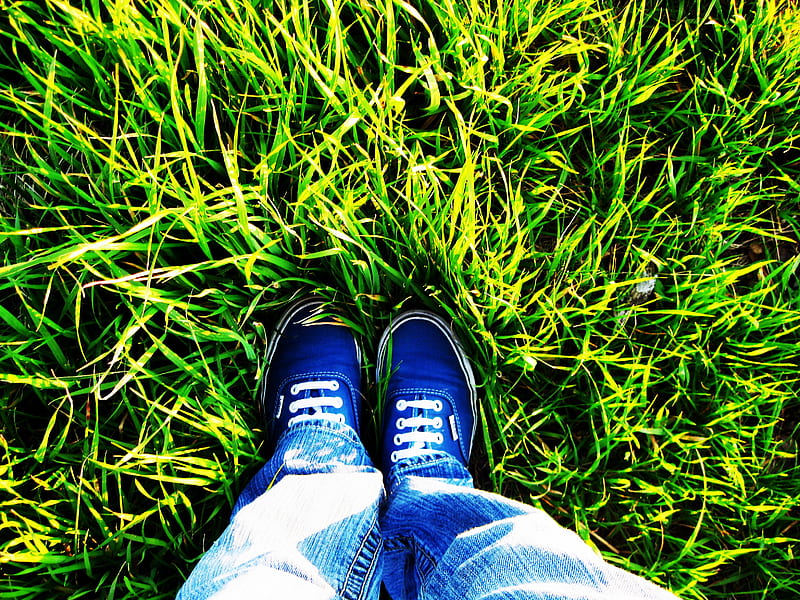 Awesomeness, cool, green, jeans, grass, abstract, shoes, HD wallpaper