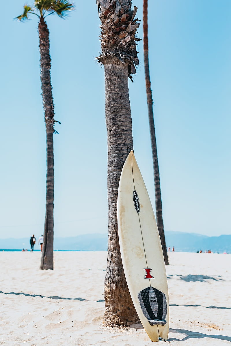 Surf Boards, Surfer Aesthetic, HD phone wallpaper