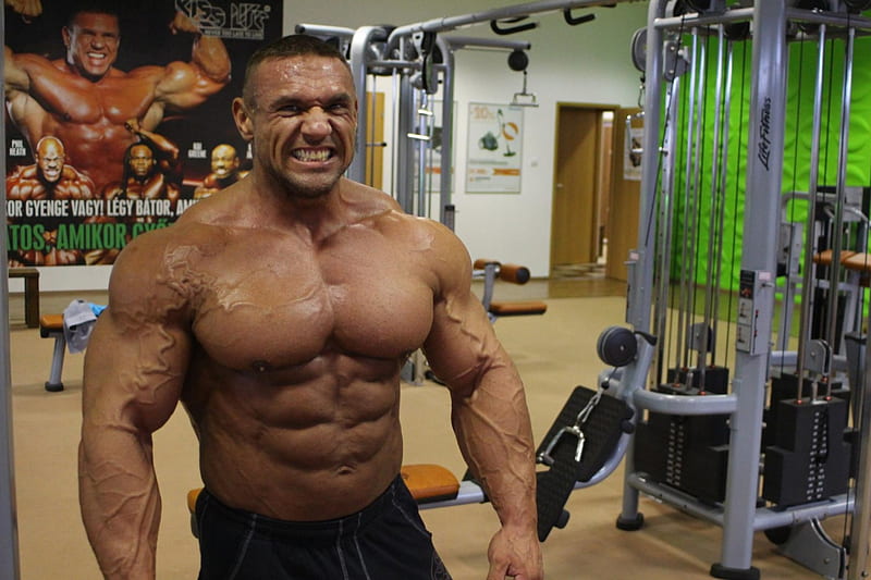 Bodybuilder, muscle, huge, men, HD wallpaper | Peakpx