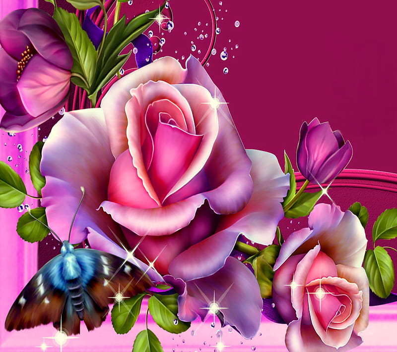 Rose Bloom, blossom, butterfly, floral, flowers, pink, roses, HD wallpaper