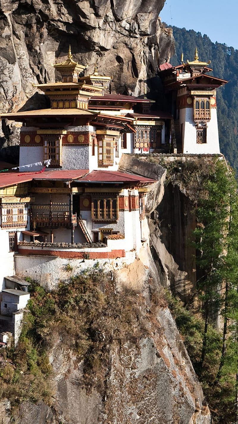 HD wallpaper: Bhutan Monastery, cliffs, mountain, trees, nature and  landscapes | Wallpaper Flare