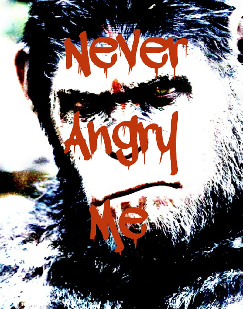 Never, angry, hero, lost mind, HD phone wallpaper