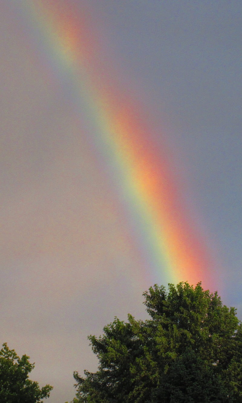 Rainbow, cool, rain, HD phone wallpaper