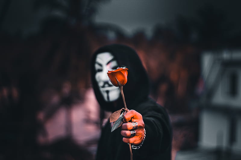 anonymous, rose, flower, mask, hood, HD wallpaper