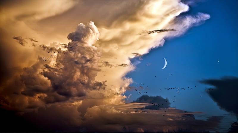 The Twilight Zone, birds, moon, nature, clouds, star, HD wallpaper