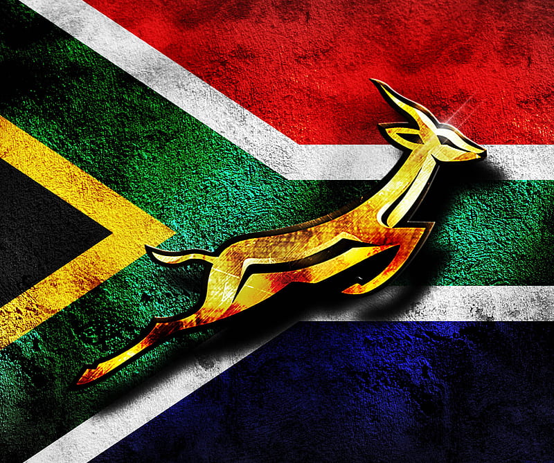 Springbok, rugby, south africa, HD wallpaper
