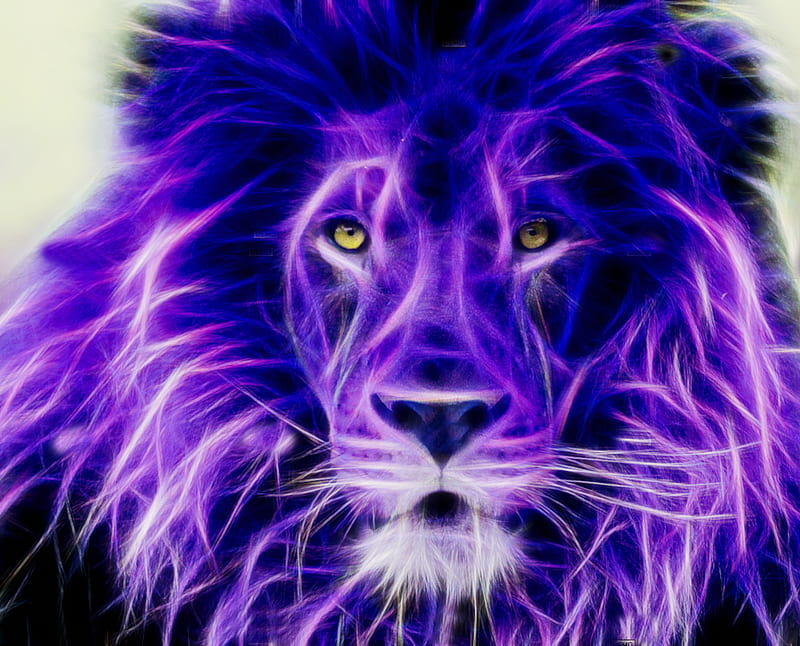 Lion, big cats, carnivors, felines, predators, HD wallpaper