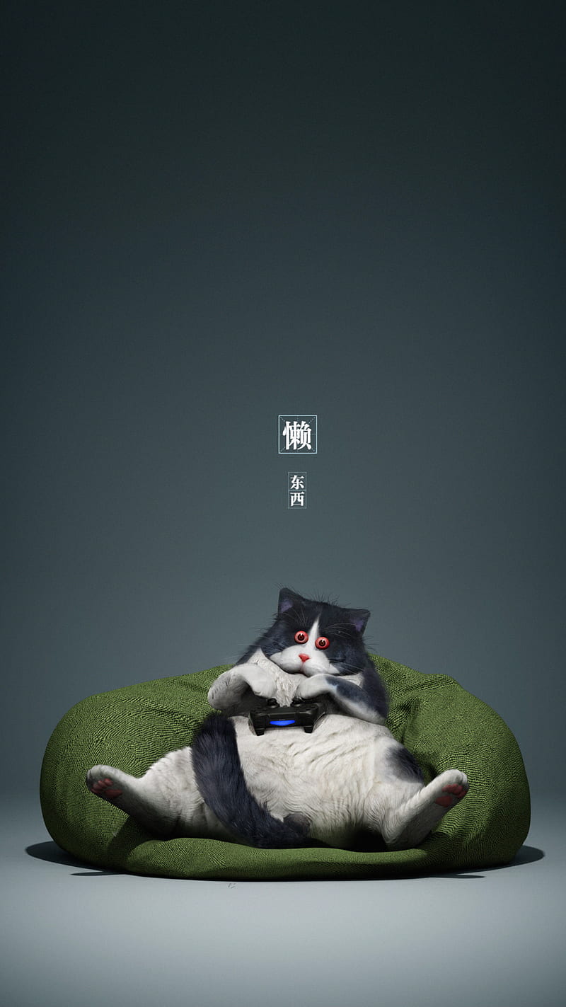 cat, gamepad, funny, cool, gamer, HD phone wallpaper