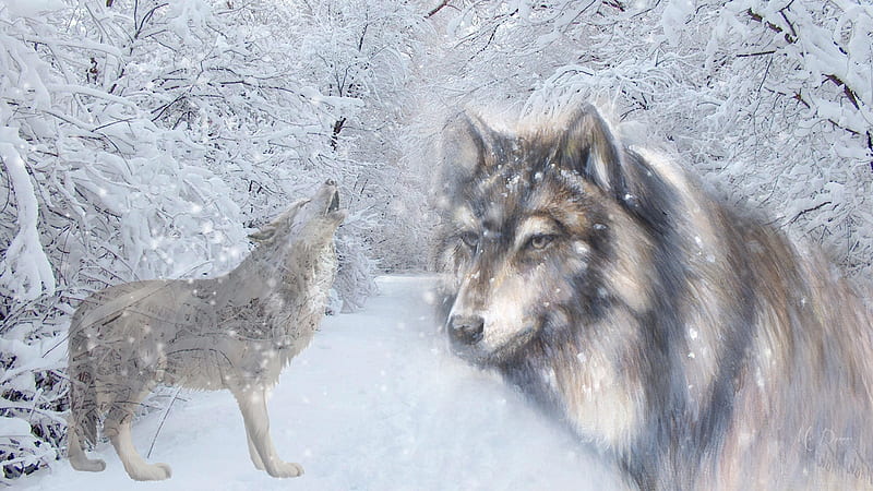 Essence of the Wolf, lobo, forest, woods, collage, trees, winter, snow, wild, wolf, wolves, howling, Firefox Persona theme, HD wallpaper